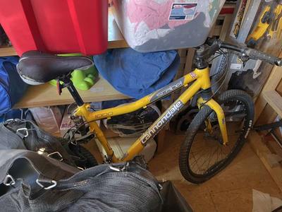 Cannondale Scalpel 1000