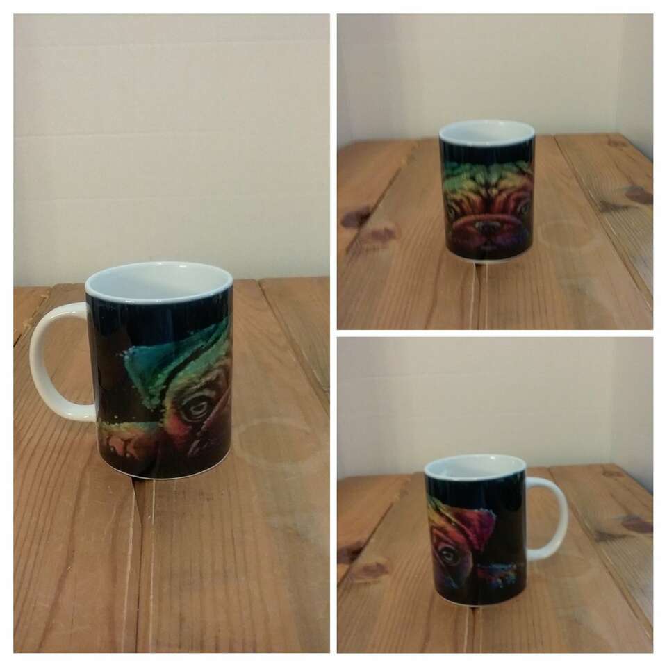 Fun Colorful Little Dog