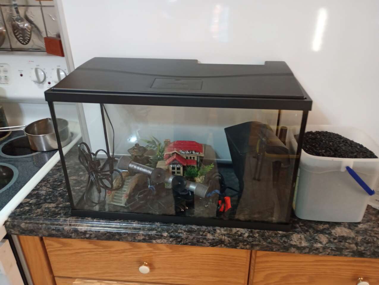 10 gallon aquarium Pets