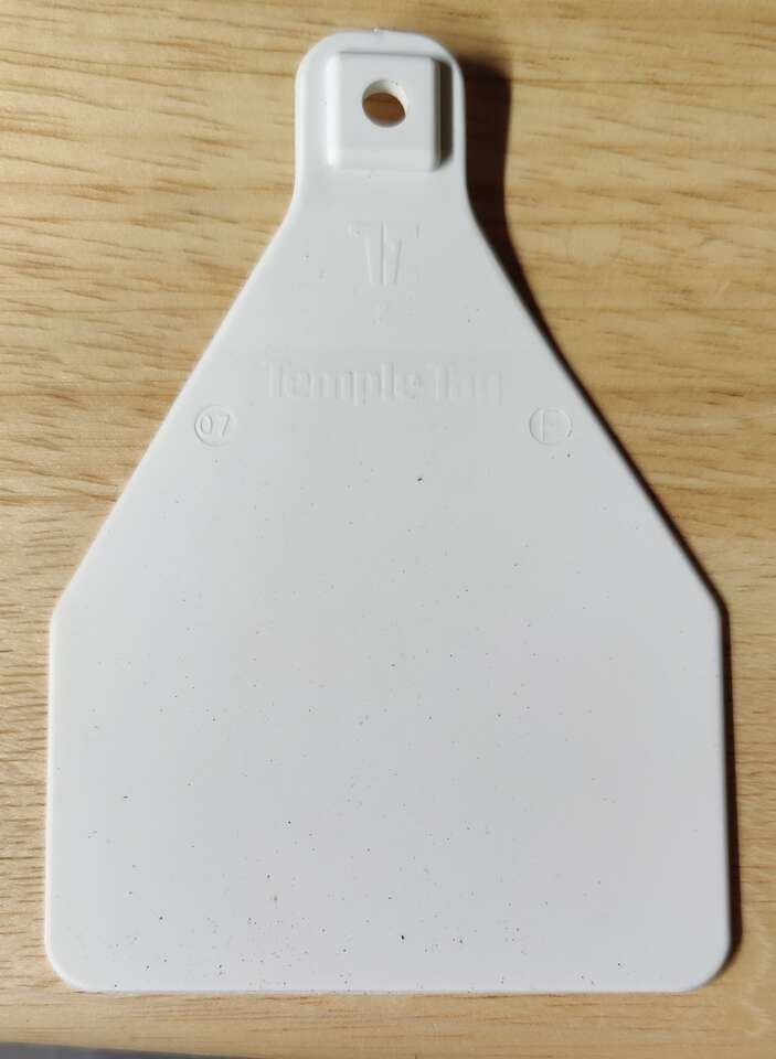 Temple Ear Tags About 75 Total New 3 Colors Blank