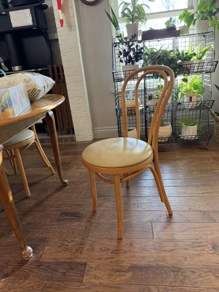 8 Vintage Bentwood Dining Chairs Furniture