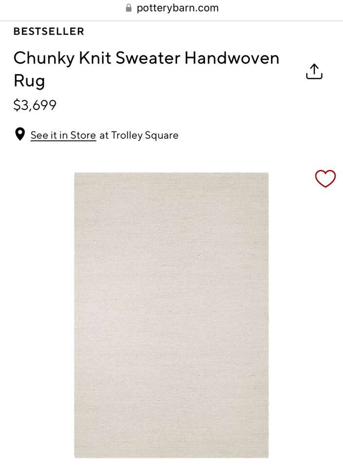 Pottery Barn Rug