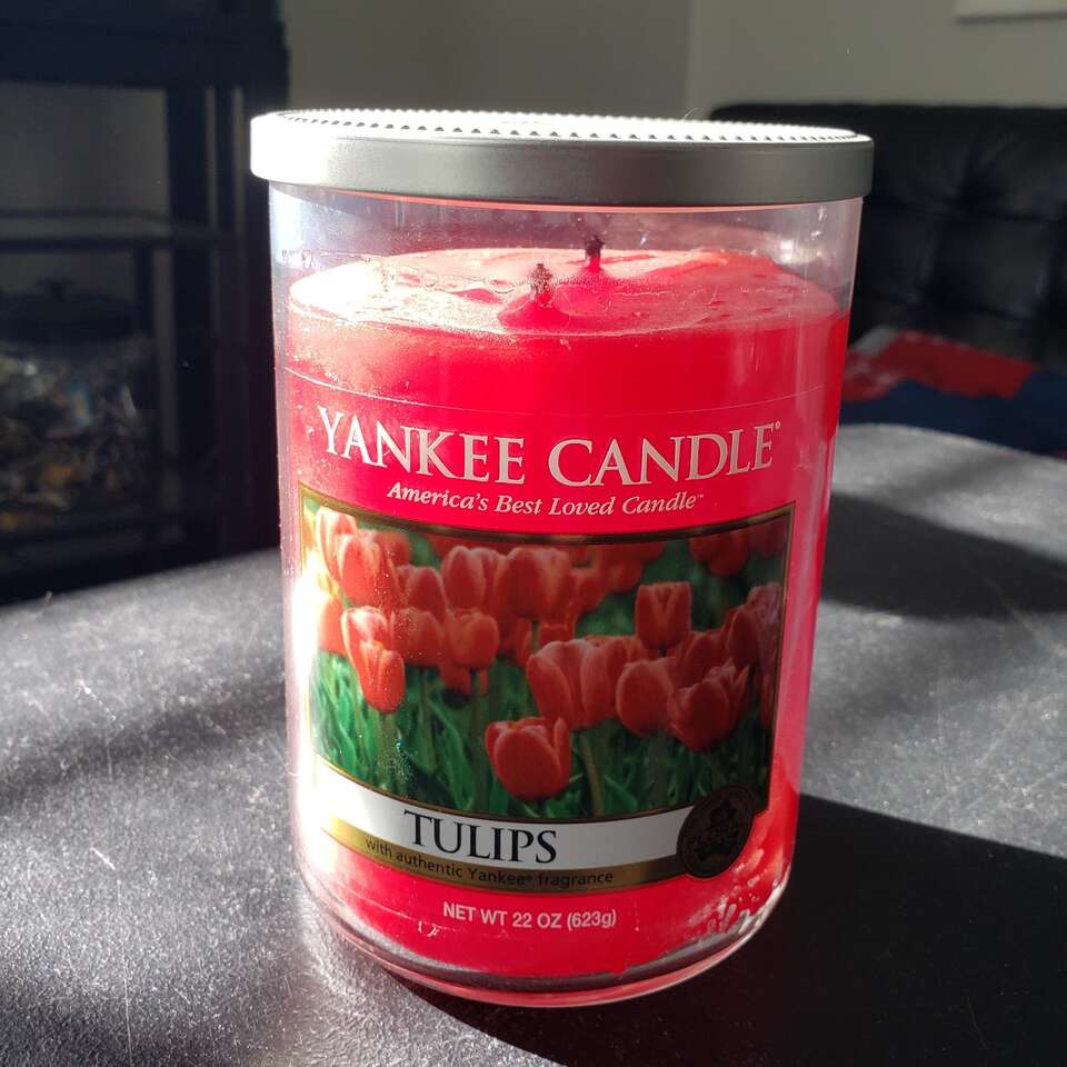 Yankee Candle Tulips 20oz
