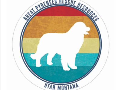 Great Pyrenees Rescue Resources Of Utah And Montana