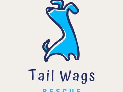 Tail Wags Rescue