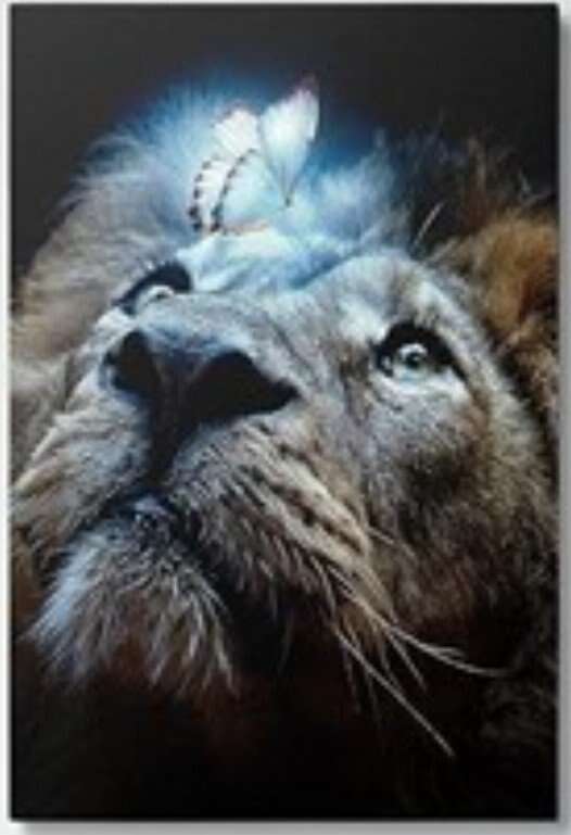 16" x 24" Wall Art (NEW)