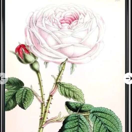 40 x 30 Framed Canvas Wall Art (NEW)