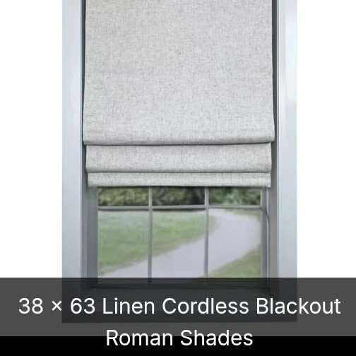 Linen Cordless Blackout Roman Shades (NEW)