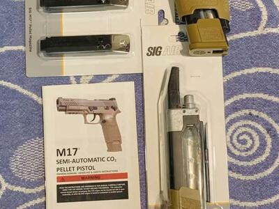 SigSauer M17 CO2 Pistol