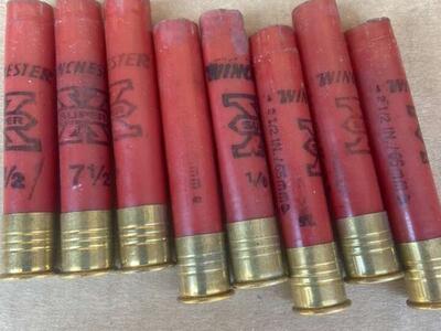 Winchester 2-1/2 SUPER X .410 C.F. Hulls Reloading