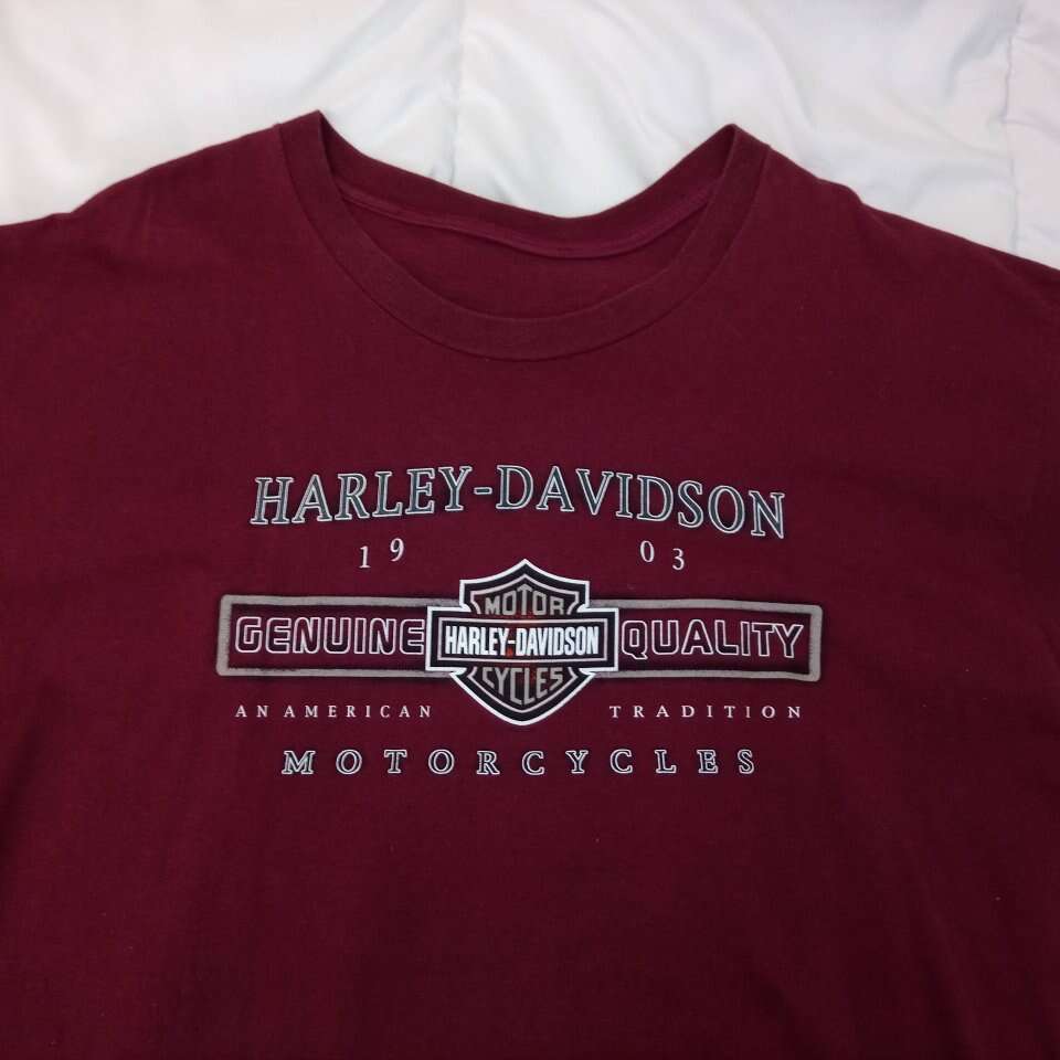 Men's Harley Davidson T-shirt