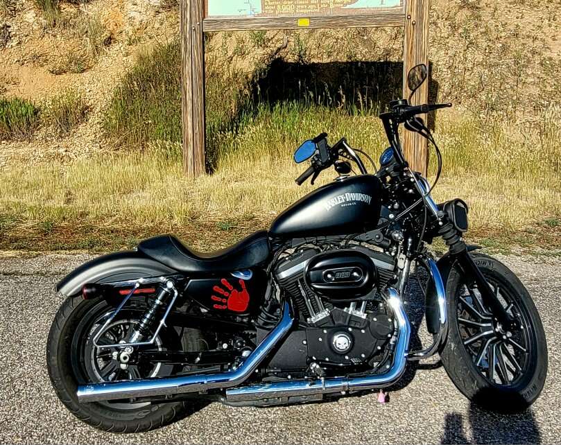 2015 Harley Davidson Sportster 883 xl Iron