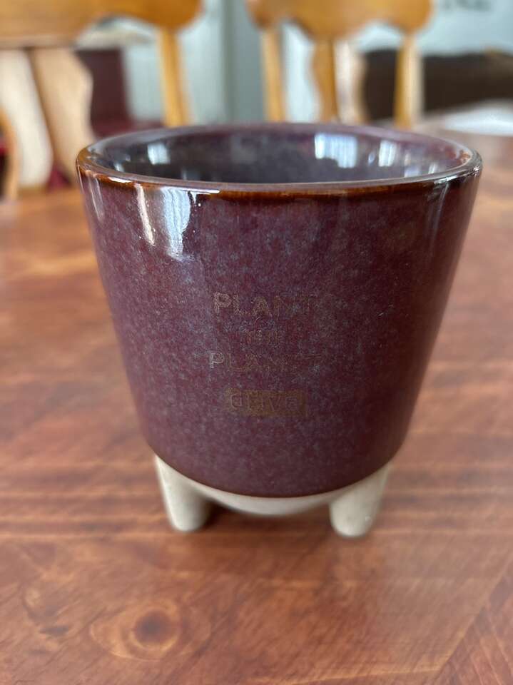 Small Ceramic Planter