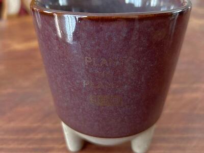 Small Ceramic Planter