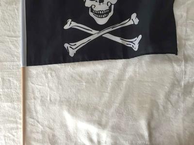 Pirate flag Jolly Roger party costume 12x18 NEW many available