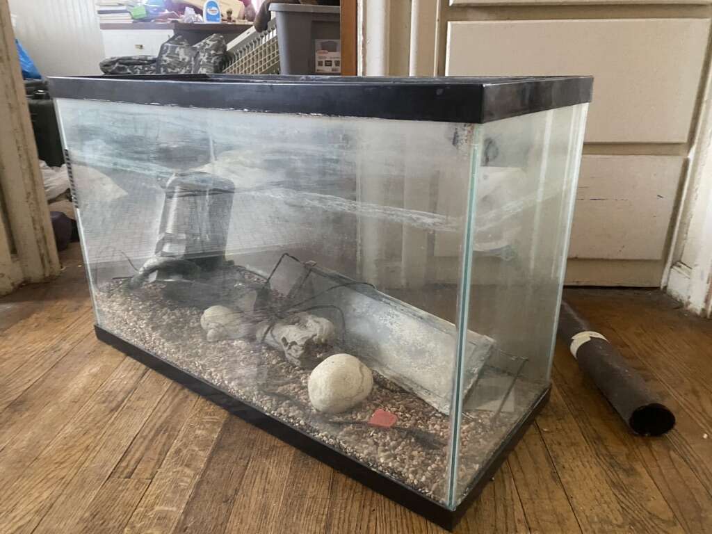 30 Gallon Fish Tank Pets