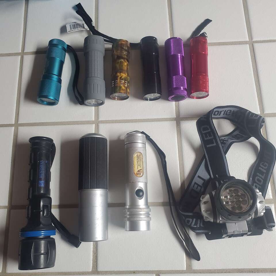 LED Flash Lights, Each