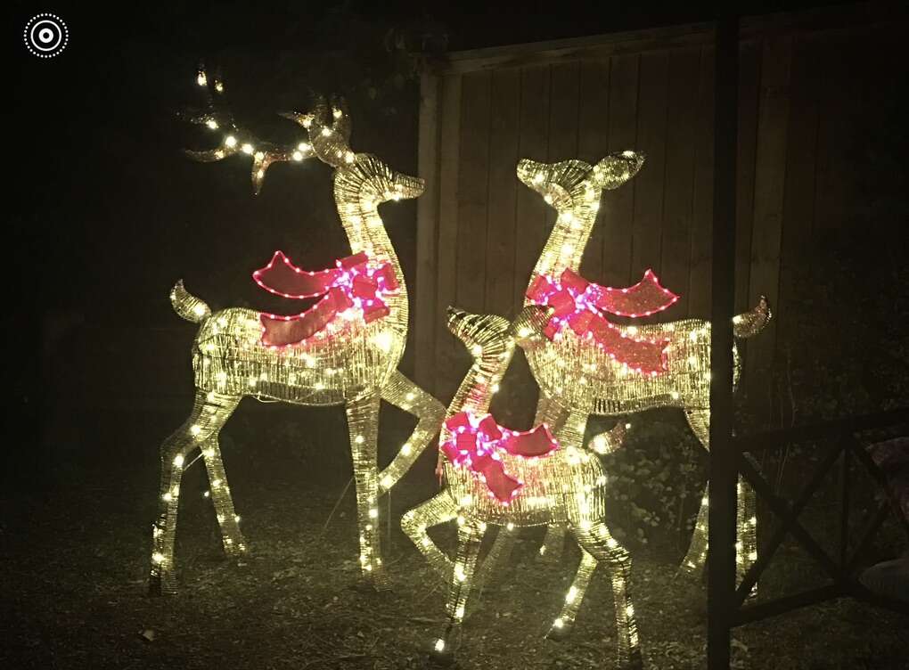3pc Pre-lit Christmas Reindeer Family Lighted