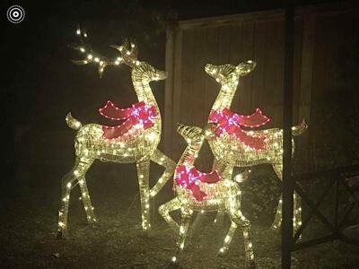 3pc Pre-lit Christmas Reindeer Family Lighted