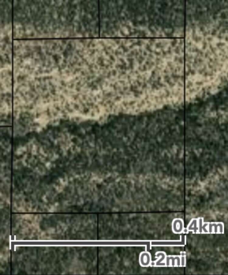 Parcel Surrounded by Young Living Ranch/Land.