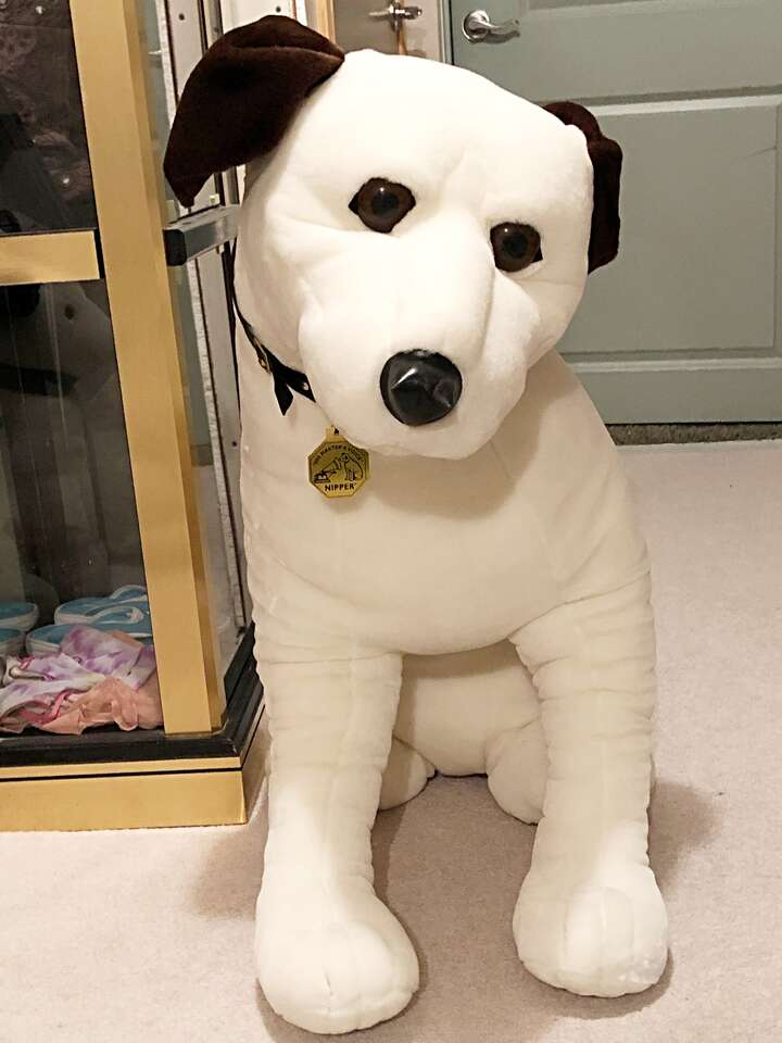 RARE 36" Stuffed RCA Victor Nipper with glass eyes with Original Box