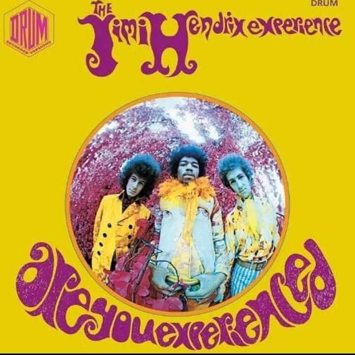 For Trade Jimi Hendrix Are You Experienced Book