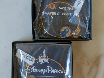 Alex & Ani bangle bracelet