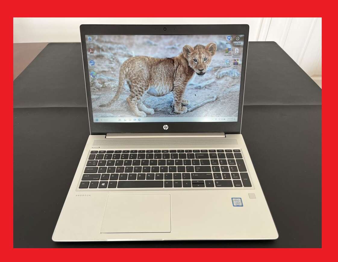 15.6'' HP i5-8265U @3.9GHz 256GB SSD 16GB ProBook 450 G6 Windows 11 Laptop Computer