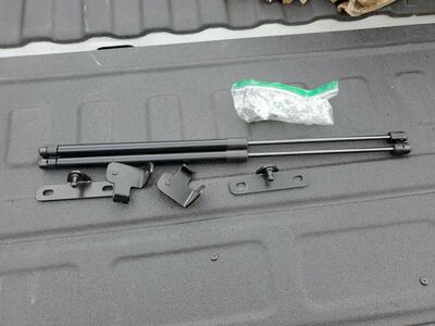 2020 Ford Explorer Hood Struts