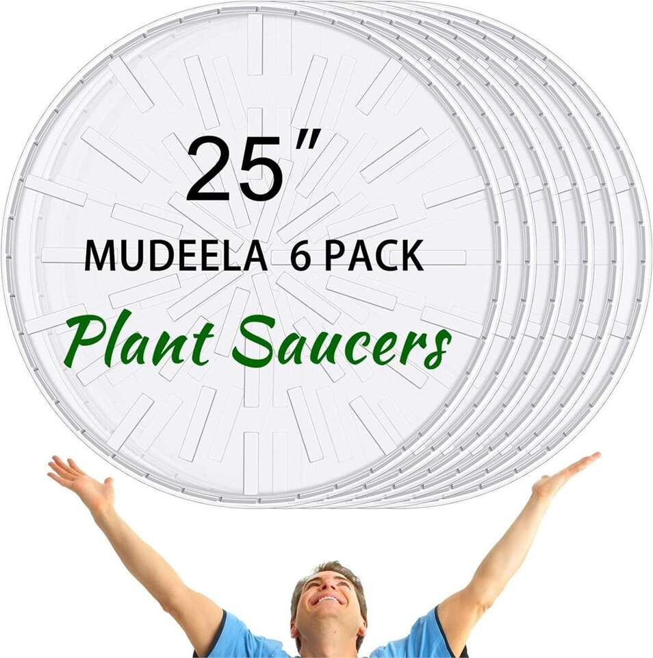 Plant Saucer Clear Heavy Duty 6 Pcs 25