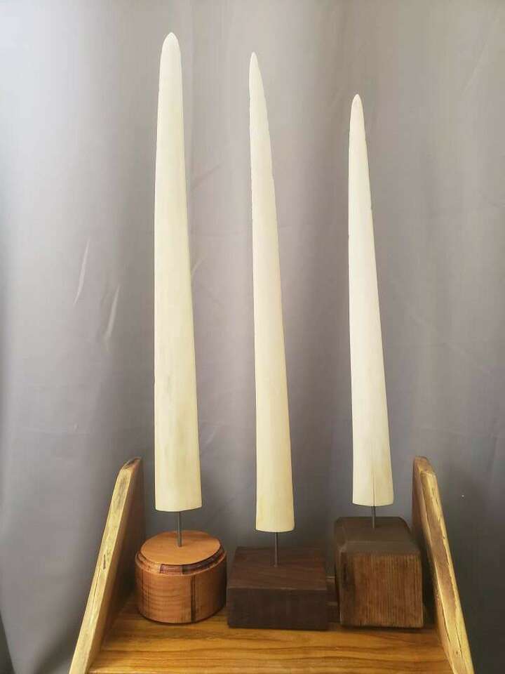 Real Swordfish Bills w/ Custom Wood Base