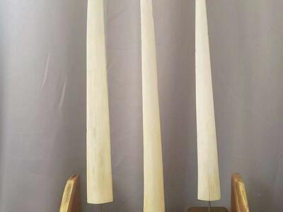 Real Swordfish Bills w/ Custom Wood Base