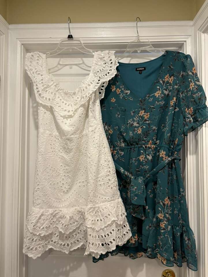 Express Dress Bundle Size Large Brand New