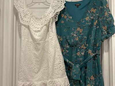 Express Dress Bundle Size Large Brand New