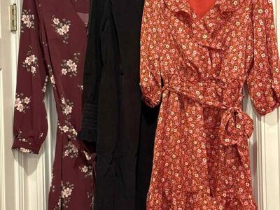 Ann Taylor Loft Dress Bundle Size 10 Brand New