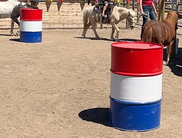 Metal Barrels, Painted Rodeo Style