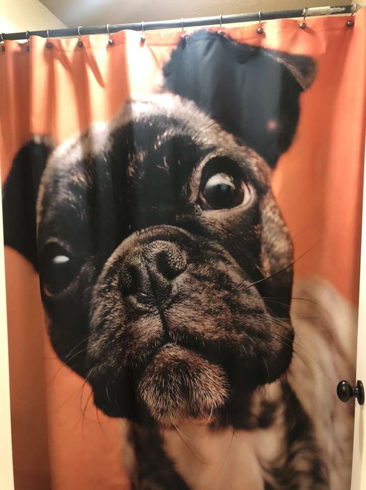 French Bulldog Shower Curtain