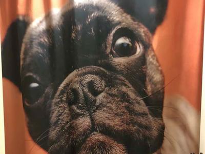 French Bulldog Shower Curtain
