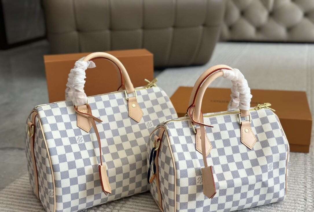 LV Travel Bag