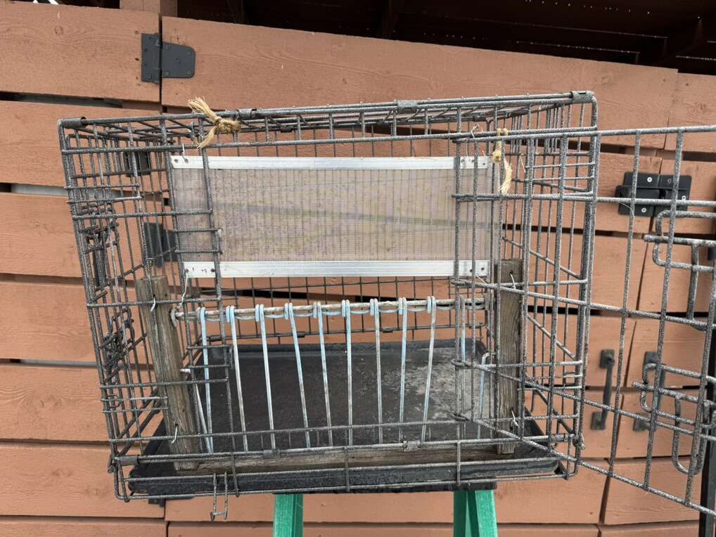 Pigeon Trap / Pet Crate / Kennel