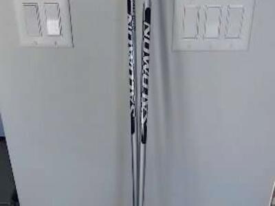 Salomon composite silver youth adult ski poles