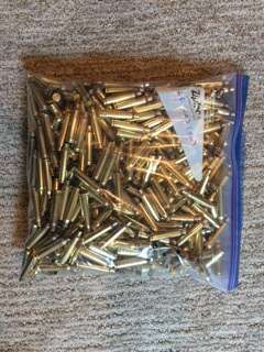 PMC .223 Brass