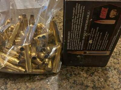 300 Win Mag Once-Fired Hornady Brass