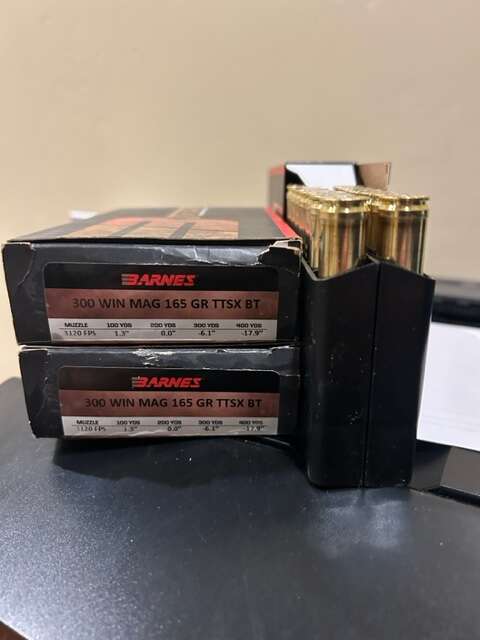Norma 300 Win Mag Brass