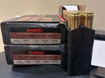 Norma 300 Win Mag Brass