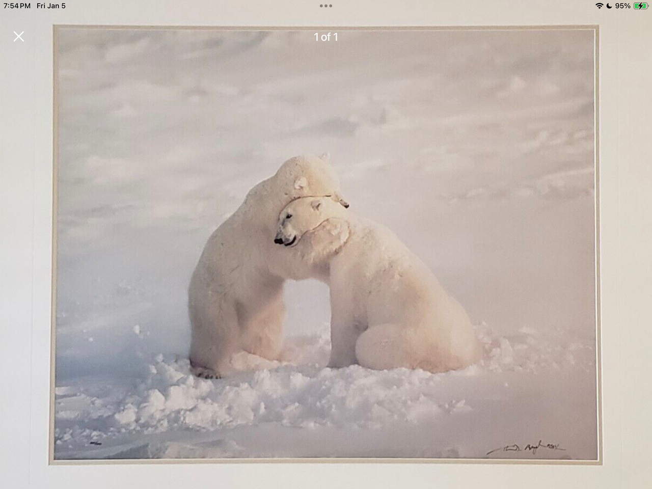 Thomas D. Mangelsen signed “Bear Hug” limited edition print