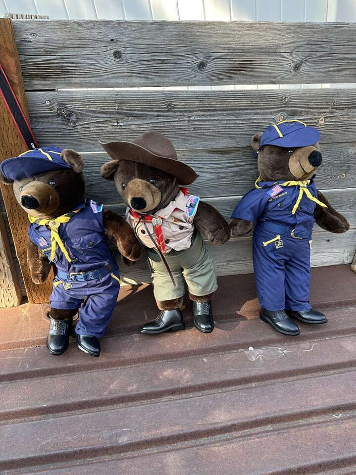Rare, Boy Scout, Teddy Bear Set