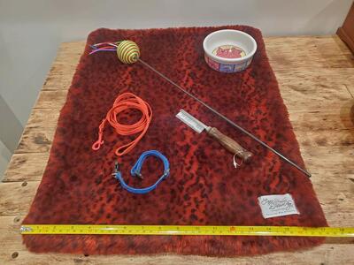 Tiger Dreamz Luxury Pet Blanket, leash, collar, more