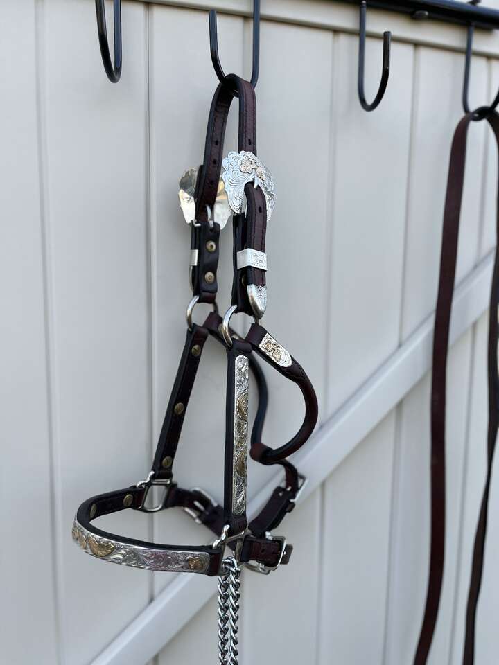 High-End Kathy's Western Show Halter and lead, Solid Silver Overlay, Weanling Size, excellent condition.