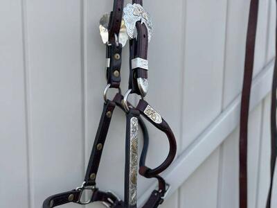 High-End Kathy's Western Show Halter and lead, Solid Silver Overlay, Weanling Size, excellent condition.
